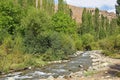 Green valley and river in Alborz mountains , Iran