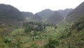 Green valley sourrounded by the mountains, rice terrace Royalty Free Stock Photo