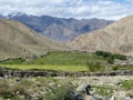 Green valley in the valley of Sahra in Ladakh, India. Royalty Free Stock Photo