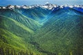 Green Valleys Evergreens Snow Mountains Hurricane Ridge Olympic National Park Washington