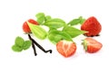 Green Vanilla leaves with red strawberries