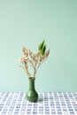 Green vase of dry flower on blue tile table. mint wall background Royalty Free Stock Photo