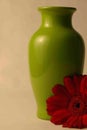 Green vase with red daisy