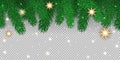 Green vector fir branches, lights, stars, isolated on transparent background. Christmas tree, xmas evergreen pine, plants