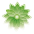 Green vector flower