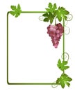 Green vector frame with a bunch of grapes