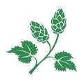 Green vector hops icon Royalty Free Stock Photo