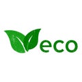 Green vector icon. Eco symbol. Natural product sign Royalty Free Stock Photo