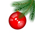 Green Vector Spruce Branch with a Shiny Red Christmas Tree Ball Royalty Free Stock Photo