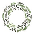Green vector wreath frame made from twigs and leaves. Forest fern, herbs, eucalyptus, branches boxwood, buxus, brunia, botanical Royalty Free Stock Photo