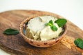 Green vegan homemade avocado or pistachio gelato ice cream with mint leaves Royalty Free Stock Photo