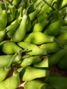 green vegetable gourd Royalty Free Stock Photo