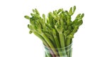 Green vegetable herb fresh on white background