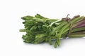 Green vegetable herb fresh on white background