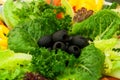 Green vegetable salad background Royalty Free Stock Photo