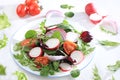 Green vegetable salad with cherry tomatoes, cucumber, radish and fresh arugula on a sunny table with shadows, detox diet. Healthy Royalty Free Stock Photo