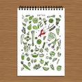 Green vegetable set, detox. Sketch for your design