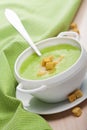 Green vegetable soup