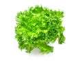 Green vegetable on white background