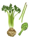 Green Vegetables