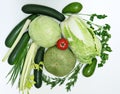 Green vegetables (cabbage, Chinese cabbage, avocado, pumpkin, zucchini, celery, parsley, dill, onion) and red tomato Royalty Free Stock Photo