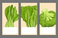 Green vegetables cards