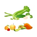 Green Vegetables with Celery and Cucumber and Fruit with Mango and Avocado Vector Set