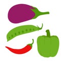 Green vegetables chili Bean Capsicum and Baingan Gol Round eggplant vector artwork and illustration