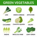 Green vegetables collection, info graphic food, vector