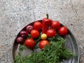 Green vegetables . Decorate some vegetables in a steel dish.