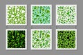 Green vegetables, detox. Seamless pattern design