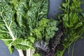 Green vegetables food collage. Kale, celery and chard