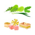 Green Vegetables with Lettuce Leaf and Confectionery with Candy and Turkish Sweet Vector Set