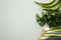 Green vegetables: parsley, onion, paprika Royalty Free Stock Photo