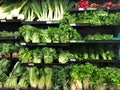 Green Vegetables for Sale in a Produce Department of a Supermarket