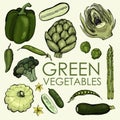 Collection of green vegetables for independent or joint use.
