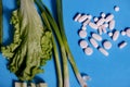 Green vegetables versus vitamins on sky blue background