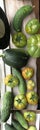 Green vegetables on windowsill Royalty Free Stock Photo