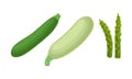 Green Vegetables with Zucchini and Asparagus Vector Set