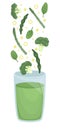 Green vegetarian smoothie with broccoli, spinach and asparagus. Isolated flat vector illustration