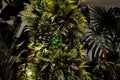 Green vegetation columns in the hotel lobby, offices. with overhead lighting halogens shine on plants to photosynthesize. complex