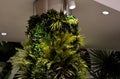Green vegetation columns in the hotel lobby, offices. with overhead lighting halogens shine on plants to photosynthesize. complex