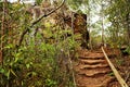 Wooden in the soil stairs. Environment vegetation of serrados in Brazil, Minas Gerais state.