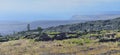 Green vegetation on an old lava flow field by the ocean in Volcanoes National Park, Big Island of Hawaii Royalty Free Stock Photo