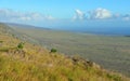 Green vegetation on an old lava flow field by the ocean in Volcanoes National Park, Big Island of Hawaii Royalty Free Stock Photo