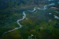 Green vegetation in South Africa. Trees with water in rainy season. Blue river, Aerial landscape in Okavango delta, Botswana. Royalty Free Stock Photo
