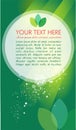 Green vektor brochure Royalty Free Stock Photo