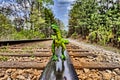 Green Velociraptor dinosaur walking on rail railroad tracks