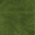 Green velvet fabric Royalty Free Stock Photo