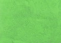 Green verdant light salad color paint on concrete surface stone wall texture cement background empty blank Royalty Free Stock Photo